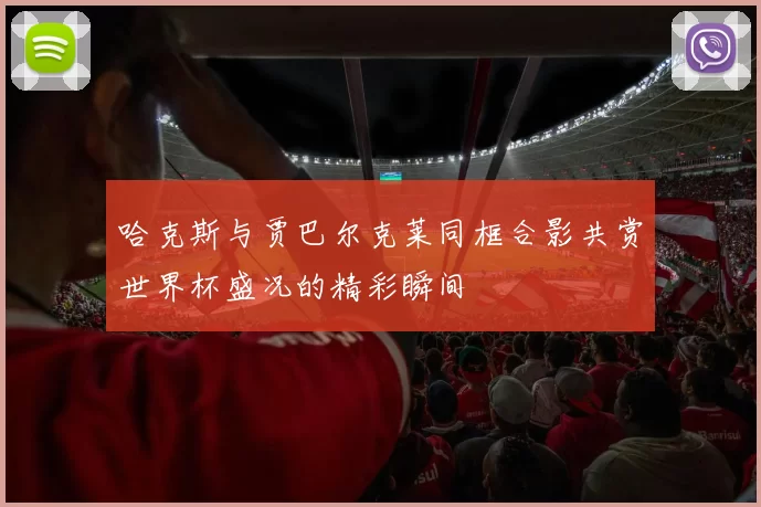 哈克斯与贾巴尔克莱同框合影共赏世界杯盛况的精彩瞬间