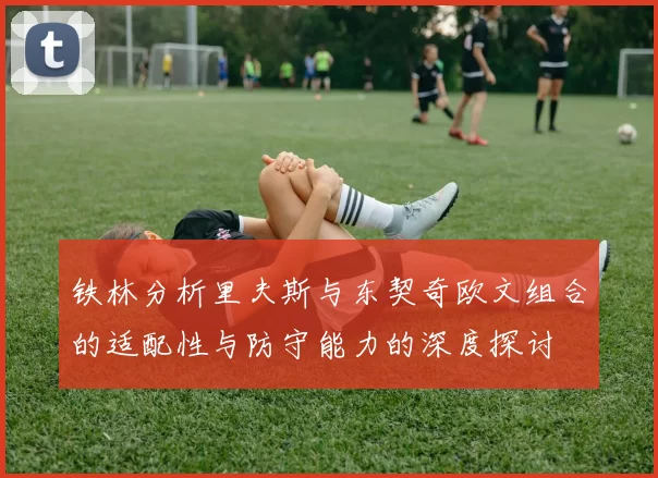 铁林分析里夫斯与东契奇欧文组合的适配性与防守能力的深度探讨