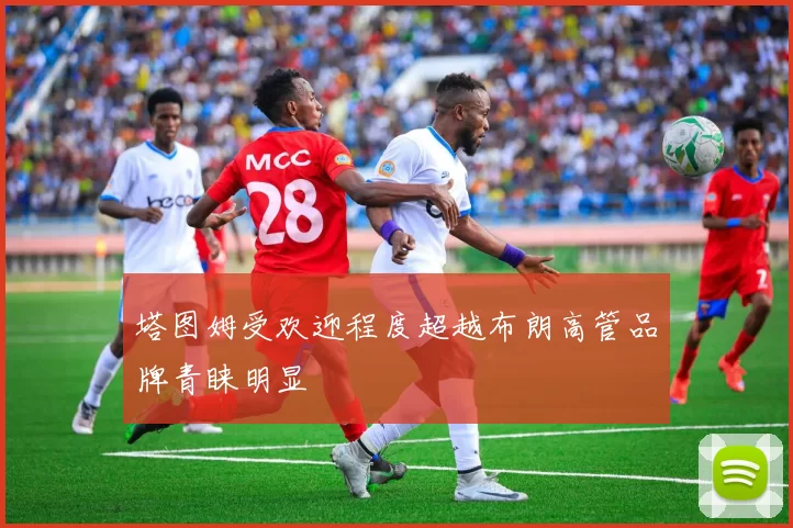 塔图姆受欢迎程度超越布朗高管品牌青睐明显